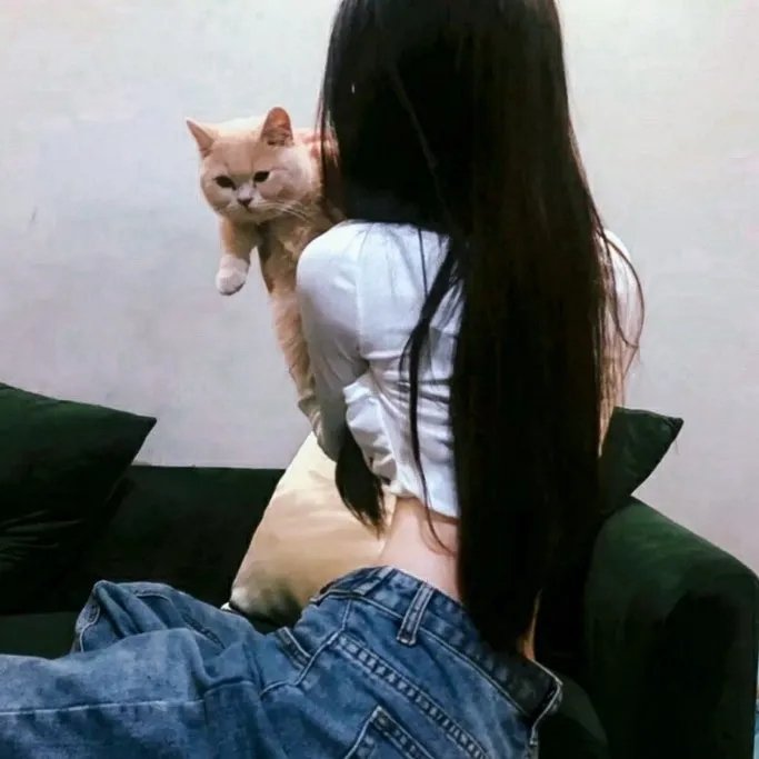 面纱之下